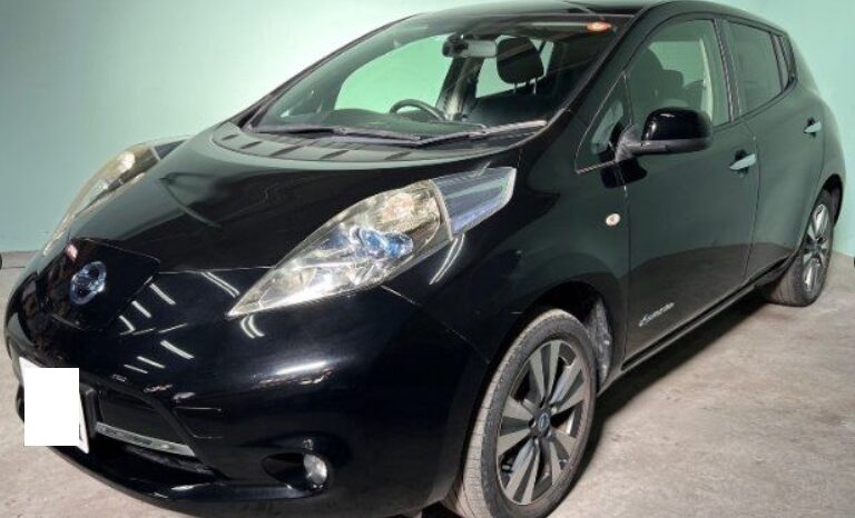 
								NISSAN LEAF full									