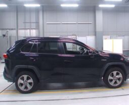 
										TOYOTA RAV4 full									