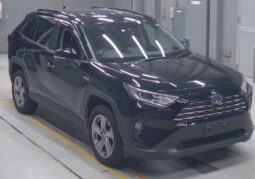 
										TOYOTA RAV4 full									