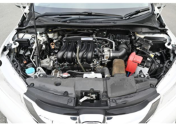 
										HONDA GRACE full									